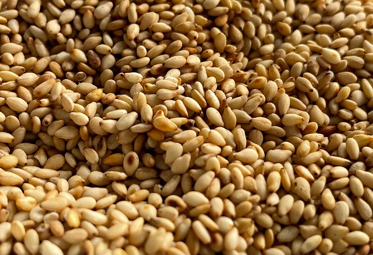 entdecken sie die welt der superfoods: erfahren sie, welche nährstoffreichen lebensmittel ihre gesundheit stärken, ihr immunsystem unterstützen und ihnen mehr energie im alltag geben können.